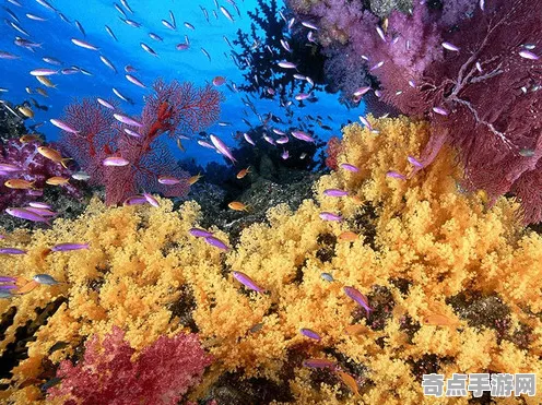 日前披露澳大利亚大堡礁北极光现象形成原因揭秘