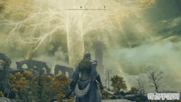 专业解析：艾尔登法环》经济系统解析 2025夏季版本 PC专业版