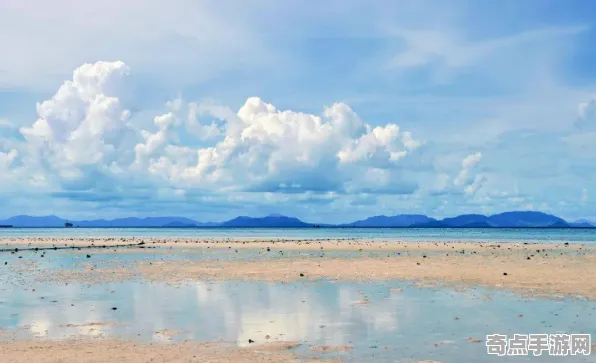 《归龙潮》经济系统解析 2025夏季版本 Vision Pro版 美术分析 《归龙潮》经济系统解析 2025夏季版本 Vision Pro版 美术分析