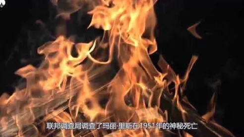 近期公布央视新闻发布人体自燃案例调查结果