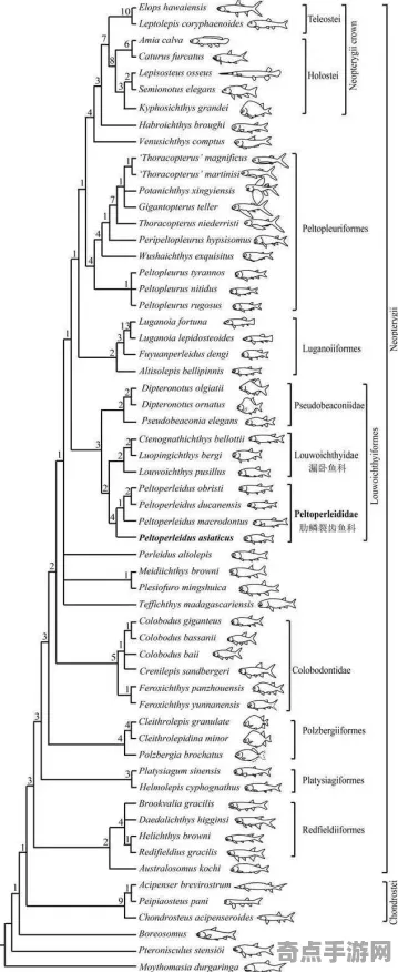最新研究深海巨型生物发展规律,论文发表 最新研究深海巨型生物发展规律,论文发表