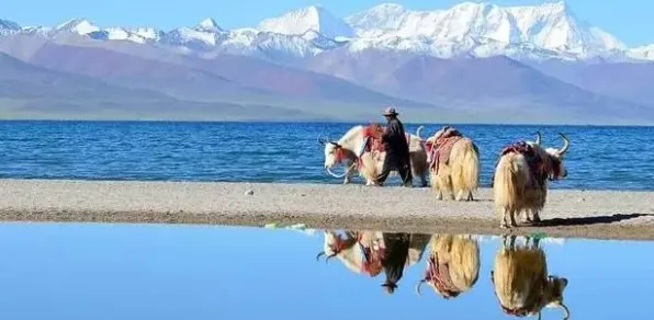 刚刚中国西藏冰圈现象地质特征揭秘 刚刚中国西藏冰圈现象地质特征揭秘