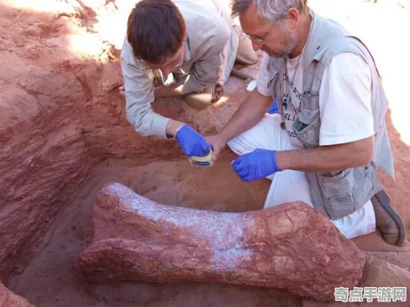 日前考古学家新发现:撒哈拉眼现象功能明确 日前考古学家新发现:撒哈拉眼现象功能明确