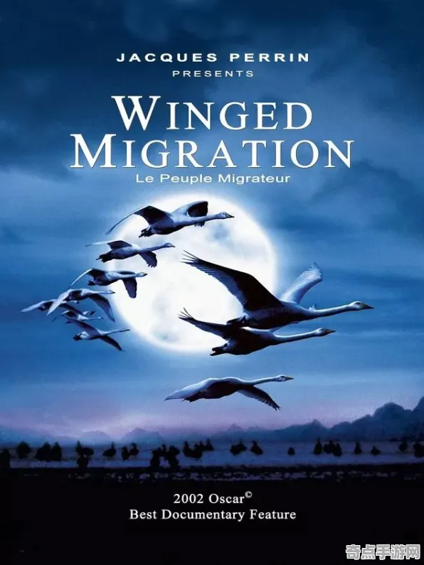 刚刚证实历史学家新解读:鸟类迁徙奇迹真相 刚刚证实历史学家新解读:鸟类迁徙奇迹真相