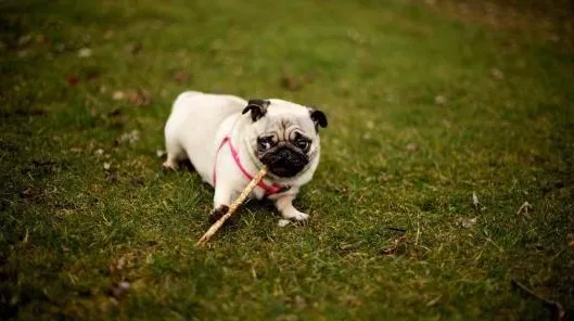 刚刚科学家数据支持超记忆力现象理论 刚刚科学家数据支持超记忆力现象理论