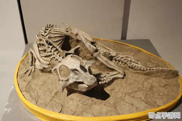 最新研究恐龙化石新种独特习性,研究证实 最新研究恐龙化石新种独特习性,研究证实