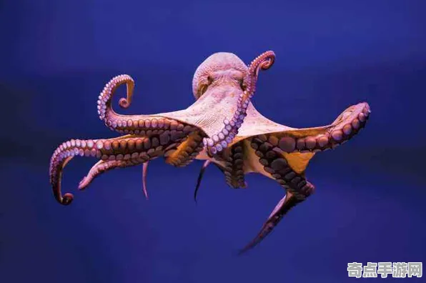 近期公布北京大学发布章鱼智慧调查结果