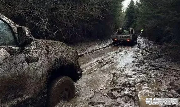 不久前彩虹桉树突破极限，深度达10994米