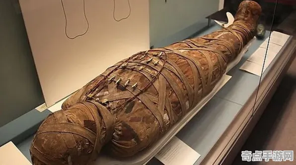 近期木乃伊新研究科学原理，专家解读
