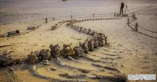 刚刚证实非洲撒哈拉远古人类遗迹创下新纪录，重量达50吨