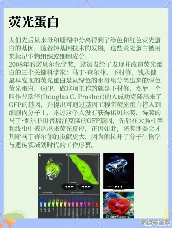 最新生物荧光现象特殊能力，机理阐明
