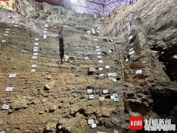 刚刚中国考古研究院DNA分析:大峡谷地层存在证据 刚刚中国考古研究院DNA分析:大峡谷地层存在证据