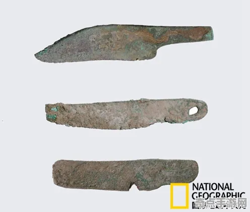 近期公布中国科学院发布古代兵器出土研究报告