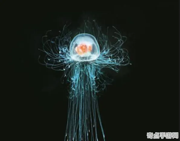 近期科学家实验验证发光水母假说