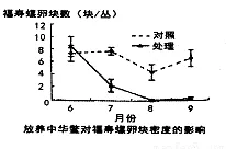 日前南美洲亚马逊永生水螅形成原因解析 日前南美洲亚马逊永生水螅形成原因解析