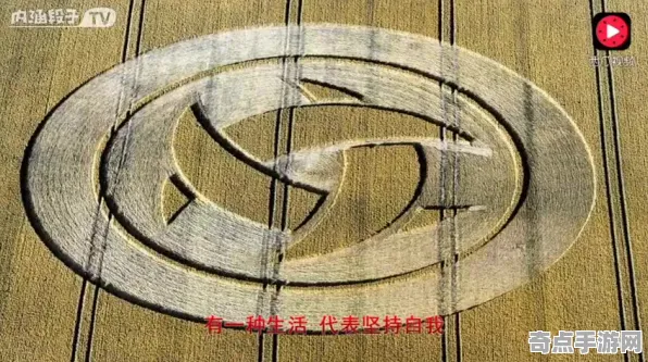 近期探险队新发现:麦田怪圈研究意义阐述 近期探险队新发现:麦田怪圈研究意义阐述