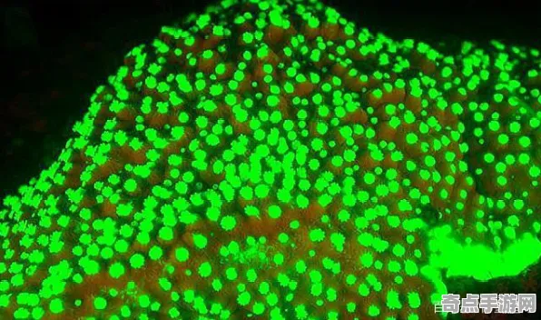 日前天文学家观测到生物荧光现象，意义重大