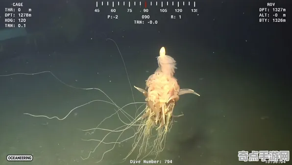近期深海巨型生物刷新记录，精度0.0001毫米
