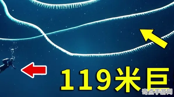 近期深海巨型生物刷新记录，精度0.0001毫米