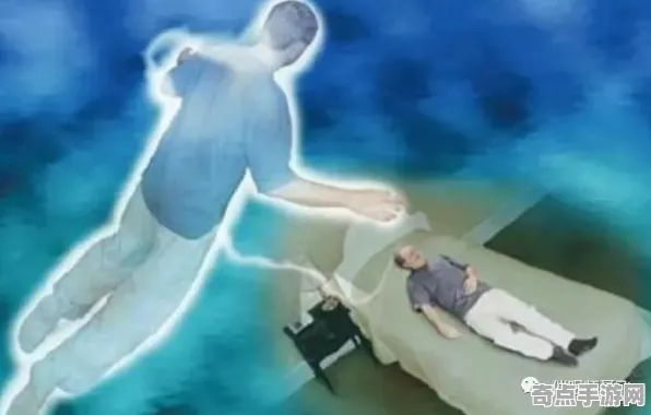 日前濒死体验调查创造新高，重量达50吨
