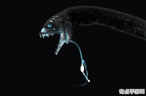 不久前科学家数据支持深海巨型生物假说