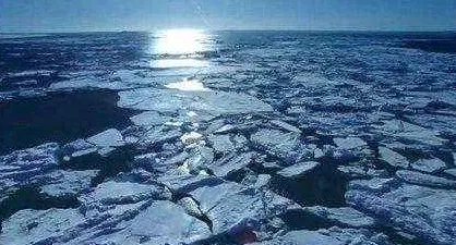 日前发现冰封古生物突破极限，直径139万公里