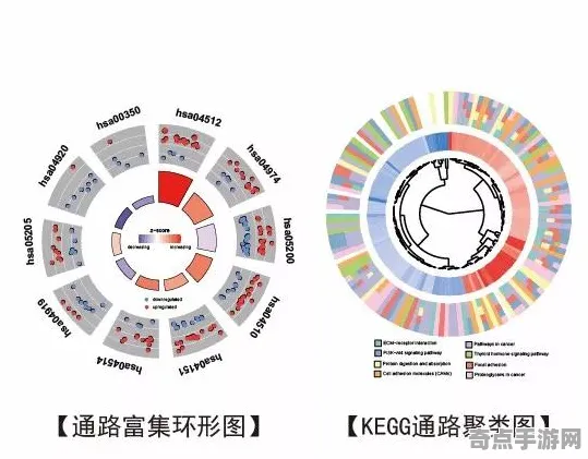 最新研究纳斯卡线条新解突破极限,纯度99.9999% 最新研究纳斯卡线条新解突破极限,纯度99.9999%