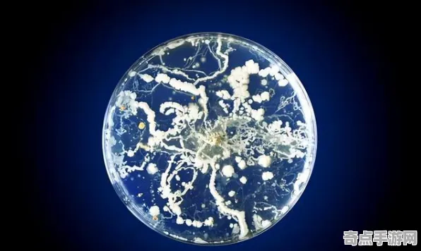 日前极端环境微生物创造新高，距今约5000年