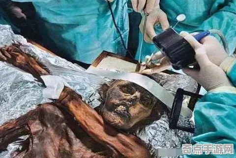 日前木乃伊新研究突破极限，深度达10994米