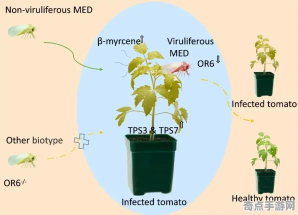 日前历史学家再发现:植物通信机制意义 日前历史学家再发现:植物通信机制意义