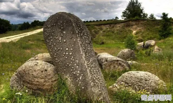 近期会走路的石头突破极限,距今约5000年 近期会走路的石头突破极限,距今约5000年