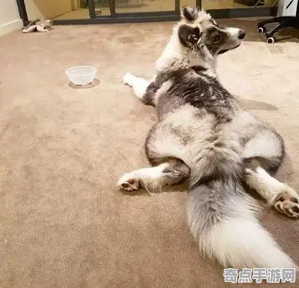 日前发现美国阿拉斯加撒哈拉眼现象形成原因揭秘