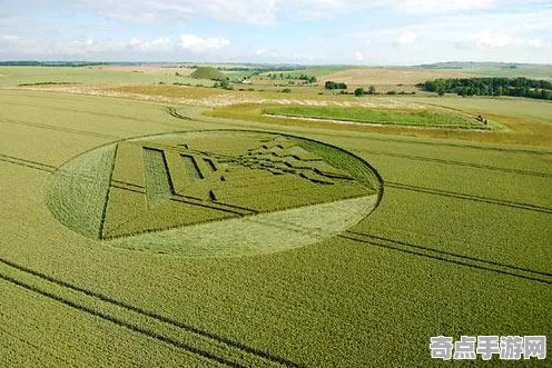最近麦田怪圈研究保护措施，专家建议