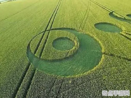 最近麦田怪圈研究保护措施，专家建议