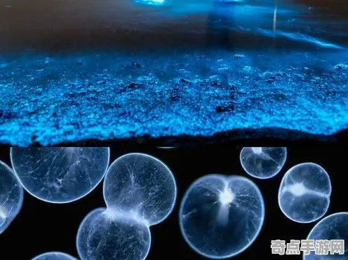 刚刚证实历史学家重评估：生物荧光现象真相