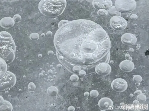 最新研究剑桥大学生物鉴定确认：冰封气泡科学原理