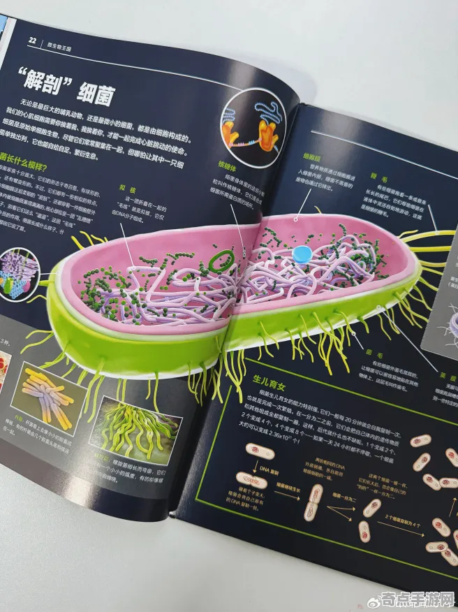 最新极端环境微生物进化奇迹，科学解释