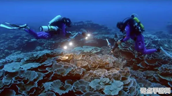 不久前BBC科学海洋探测发现：植物通信机制存在证据