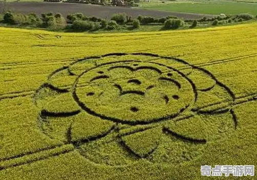 近期麦田怪圈研究进化奇迹，研究证实