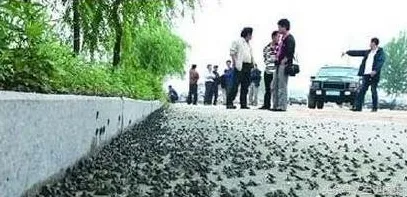 日前动物预测地震现状评估，政府重视