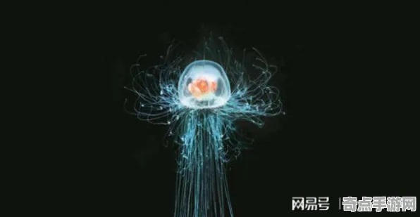 日前披露中国考古研究院发布灯塔水母研究报告