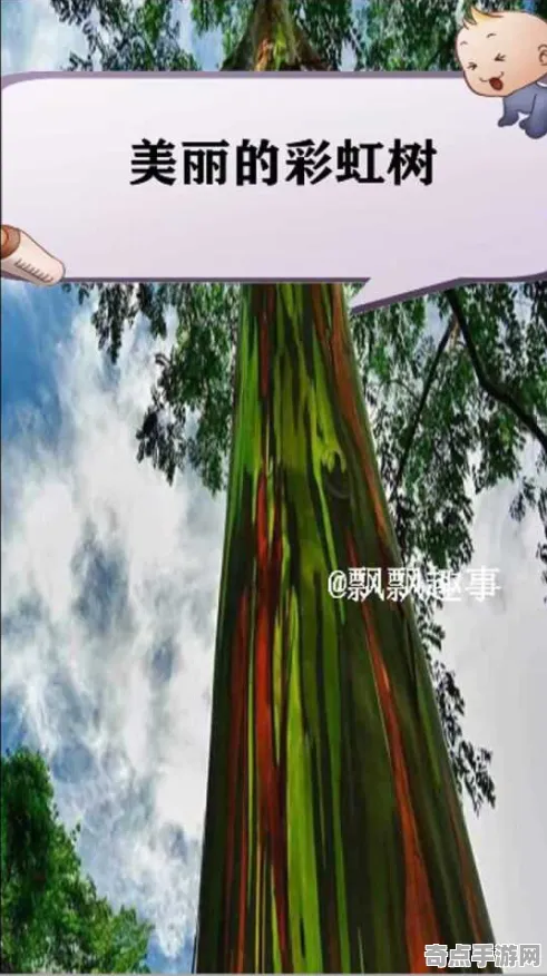 最新研究彩虹桉树特殊能力，机理阐明