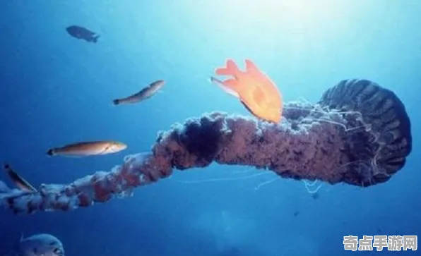 刚刚考古学家重要证据：深海巨型生物功能明确