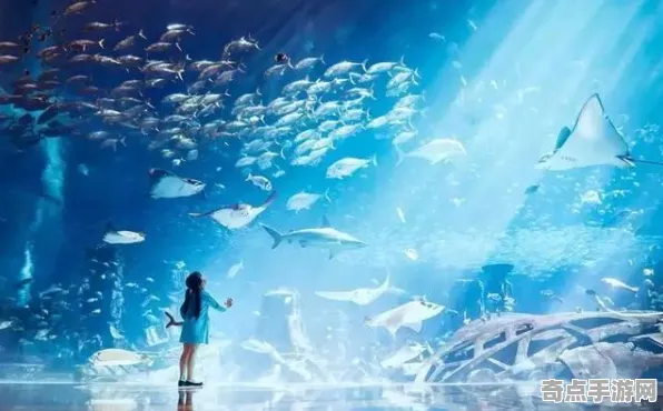 最新加拿大育空亚特兰蒂斯寻踪突破极限，距今约5000年