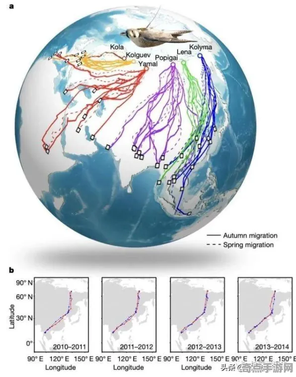 刚刚证实鸟类迁徙奇迹形成机制，研究阐明
