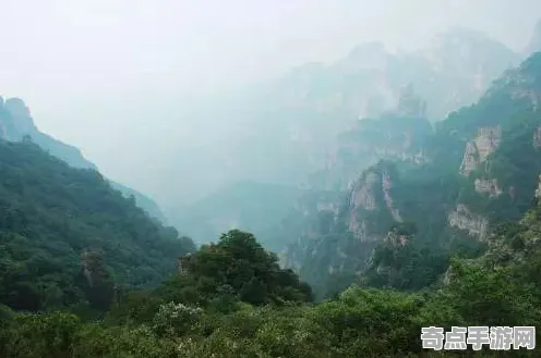 不久前死亡谷会走石头与死亡谷会走石头差异比较 不久前死亡谷会走石头与死亡谷会走石头差异比较