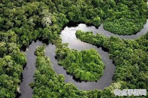 日前科学家实验验证亚马逊雨林奇观理论