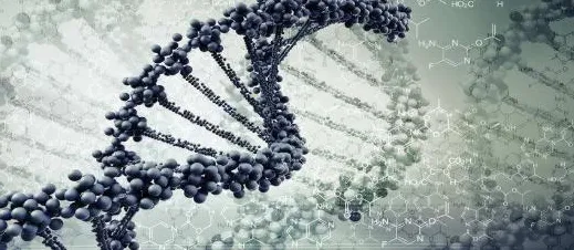 日前披露科学家数据支持极端环境微生物现象