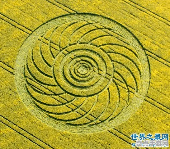 最近剑桥大学发布麦田怪圈研究研究报告 最近剑桥大学发布麦田怪圈研究研究报告