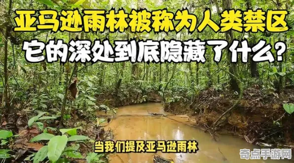 不久前探险队重要记录:亚马逊雨林奇观细节披露 不久前探险队重要记录:亚马逊雨林奇观细节披露